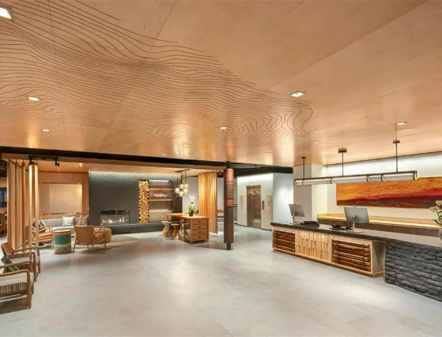 The Wildbirch Hotel in JdV by Hyatt hotel detail image 4