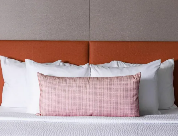 Freebird Motor Lodge by Reverie Boutique Collection hotel detail image 4