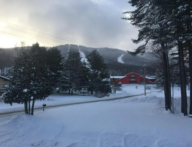 The Upper Pass Lodge at Magic Mountain hotel detail image 1