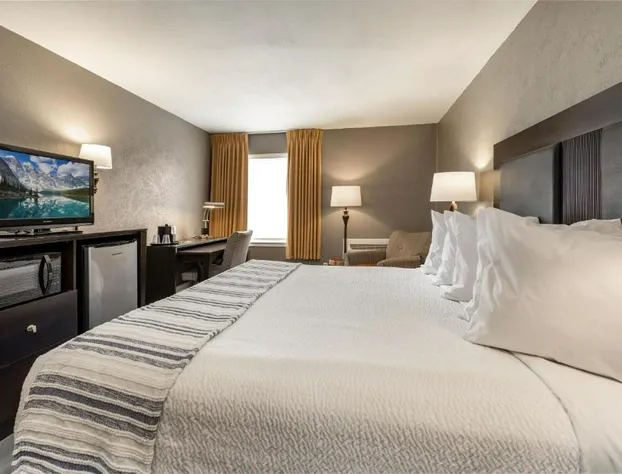 THE BRANSINN Entertainment District hotel detail image 2