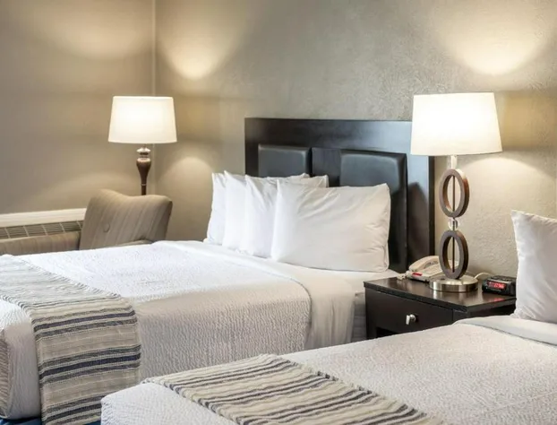 THE BRANSINN Entertainment District hotel detail image 3