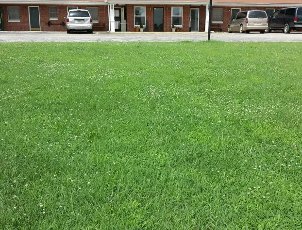 West Plains Motel hotel detail image 2