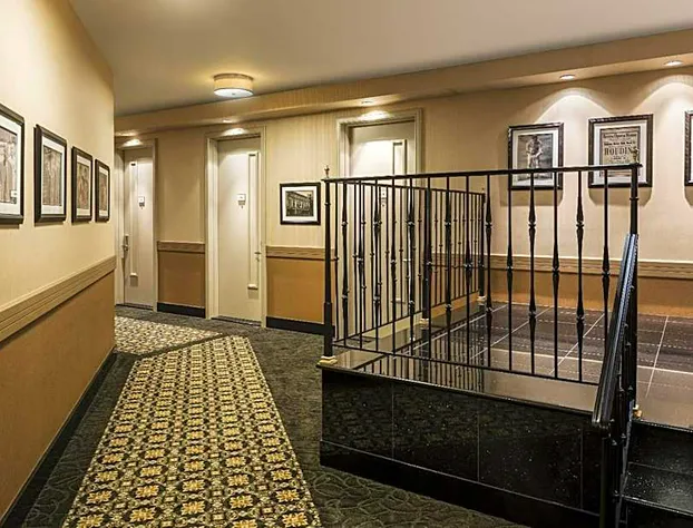 Opera House Hotel hotel detail image 3