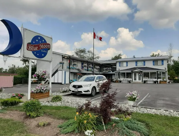 Blue Moon Motel hotel detail image 3