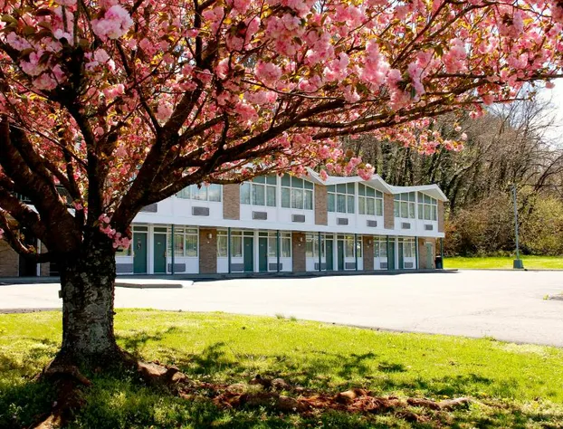 Colony House Motor Lodge hotel detail image 3