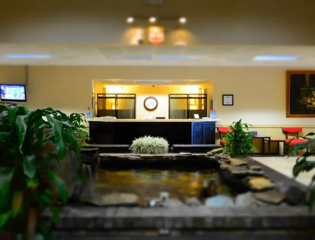 Crystal Cove Hotel hotel detail image 1