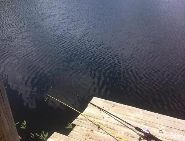 Cedar Creek hotel detail image 3