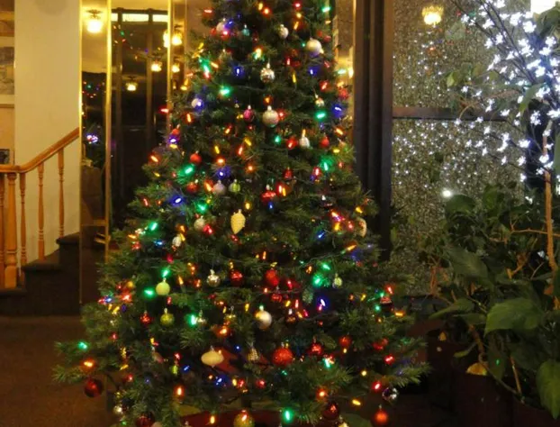 English Bay Hotel hotel detail image 3