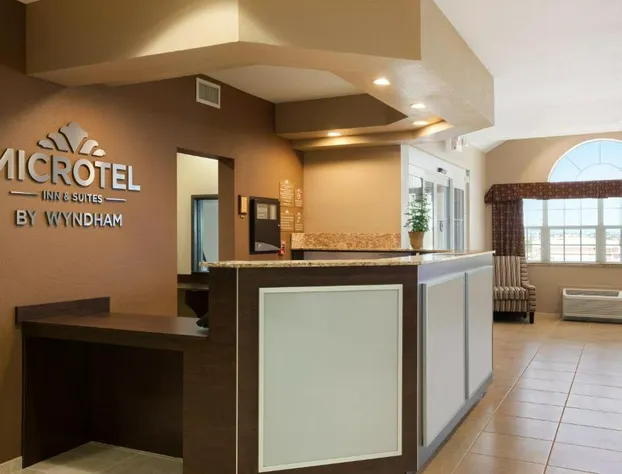 Microtel Inn & Suites by Wyndham Pleasanton hotel detail image 3