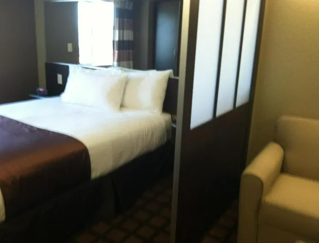 Microtel Inn & Suites by Wyndham Pleasanton hotel detail image 4