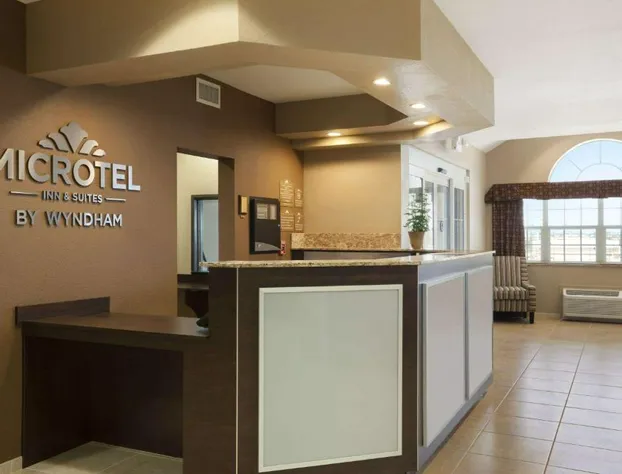 Microtel Inn & Suites by Wyndham Pleasanton hotel detail image 3