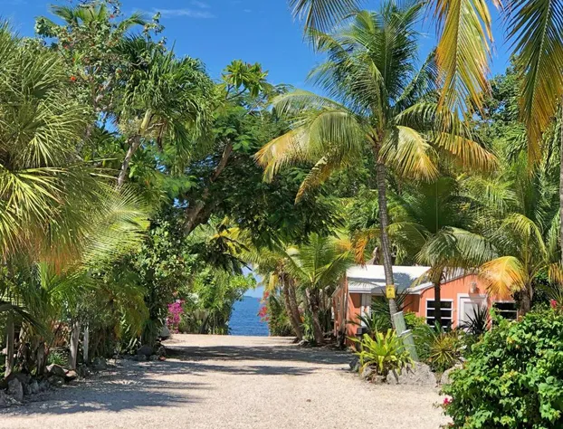 The Pelican Key Largo Cottages hotel detail image 3