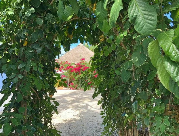 The Pelican Key Largo Cottages hotel detail image 4