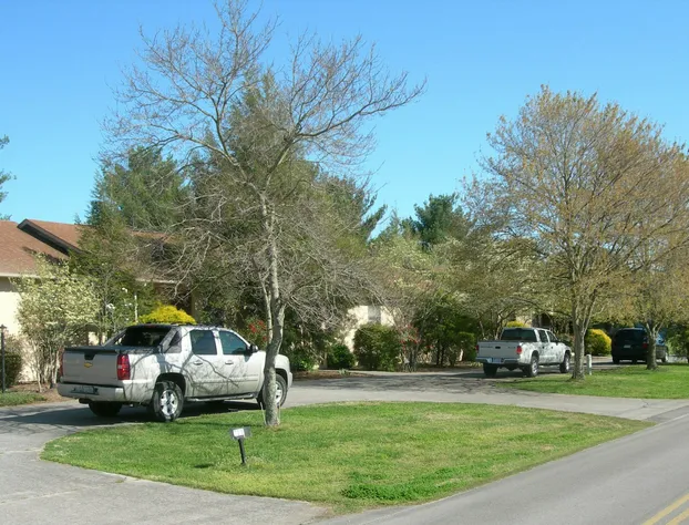 Baneberry Golf and Resort hotel detail image 4