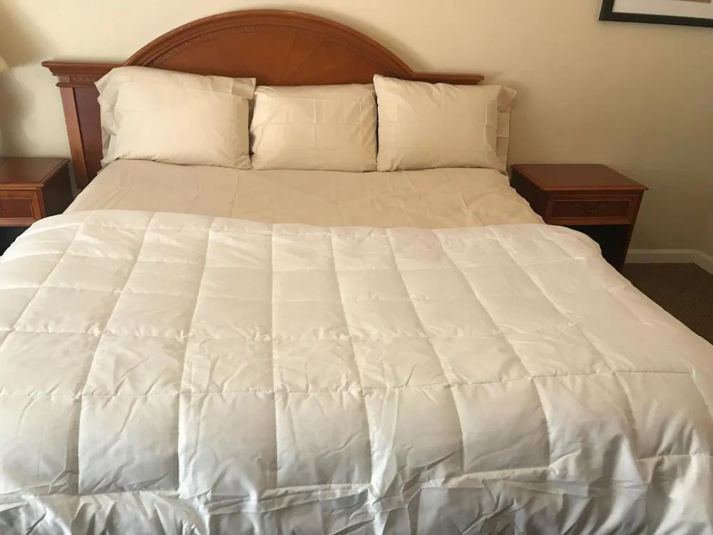 Red Carpet Inn Alexandria hotel hero