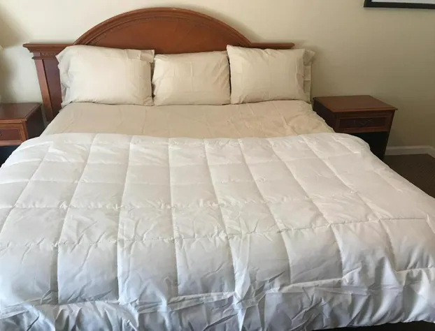 Red Carpet Inn Alexandria hotel detail image 4