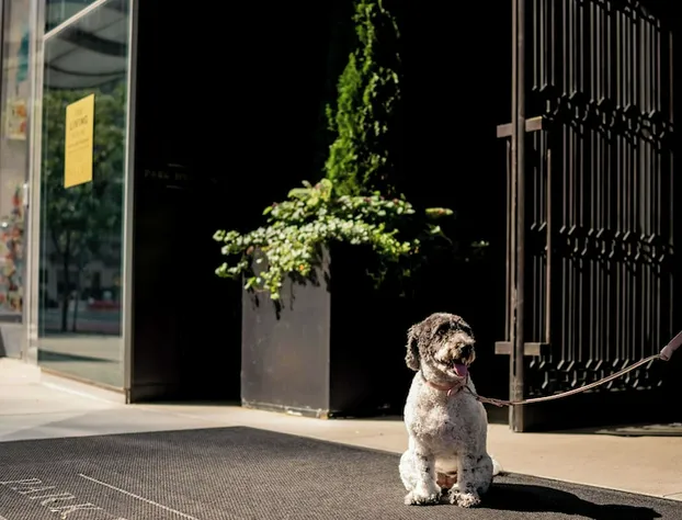 Park Hyatt New York hotel detail image 3