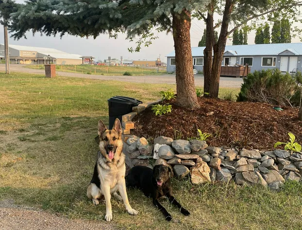Sacajawea Inn hotel detail image 3