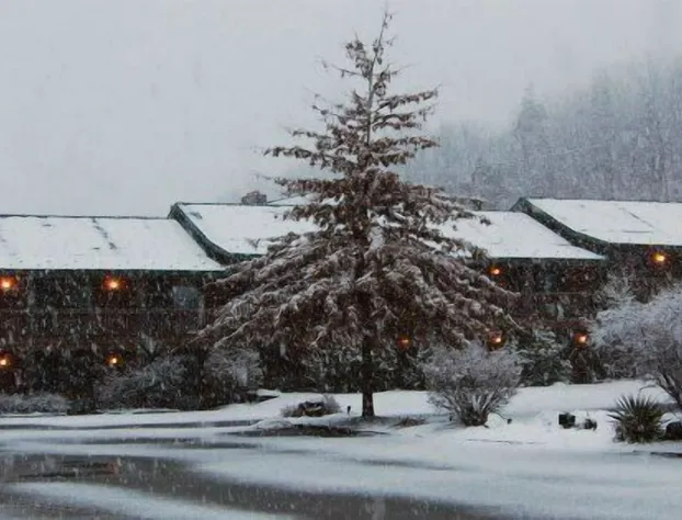 Log Cabin Lodge & Suites hotel detail image 1