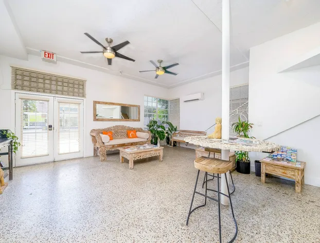 Treehouse Studio Hotel hotel detail image 1