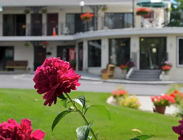 Amber's Inn & Suites hotel detail image 3