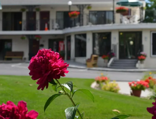 Amber's Inn & Suites hotel detail image 2