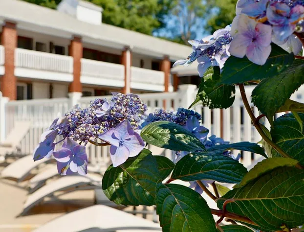 The Sea View Motel hotel detail image 4