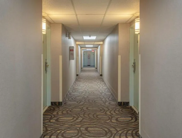 Super 5 Inn hotel detail image 3