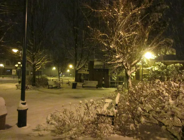 Chameleon Hotel hotel detail image 2