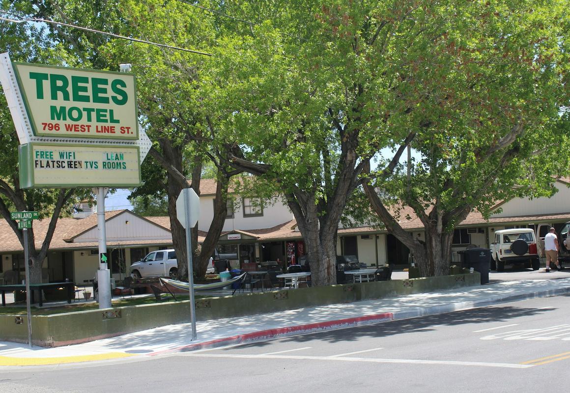 Trees Motel hotel hero