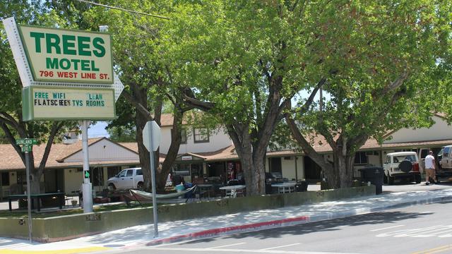 Trees Motel hotel detail image 1