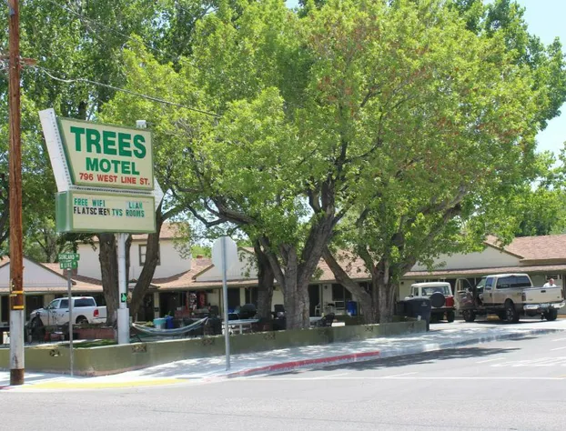 Trees Motel hotel detail image 1