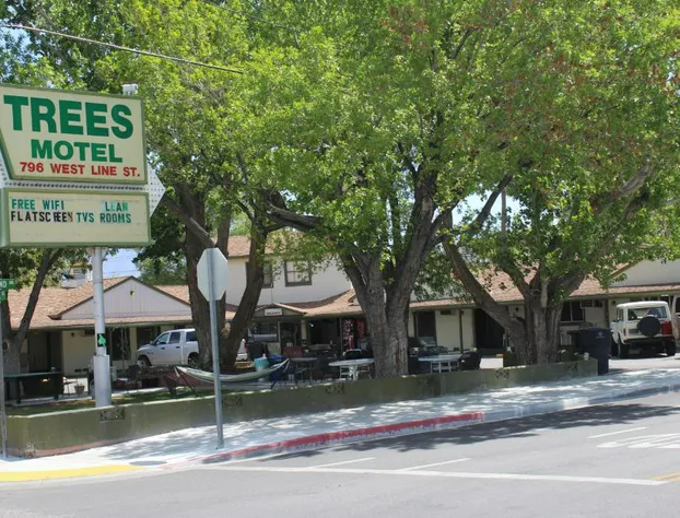 Trees Motel hotel detail image 2