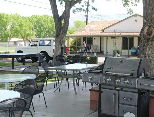 Trees Motel hotel detail image 3