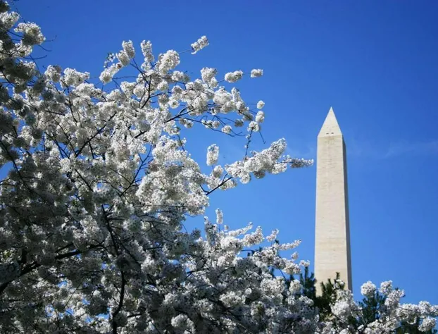 Embassy Suites by Hilton Washington DC Chevy Chase Pavilion hotel detail image 4