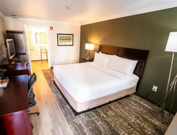 Mai Hana Hotel & Suites hotel detail image 4