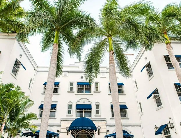 Blue Moon Hotel hotel detail image 2