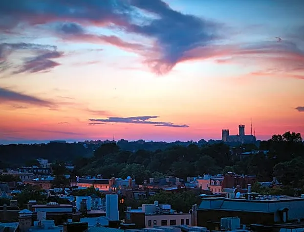 The Ven at Embassy Row, Washington, D.C., a Tribute Portfolio Hotel hotel detail image 4