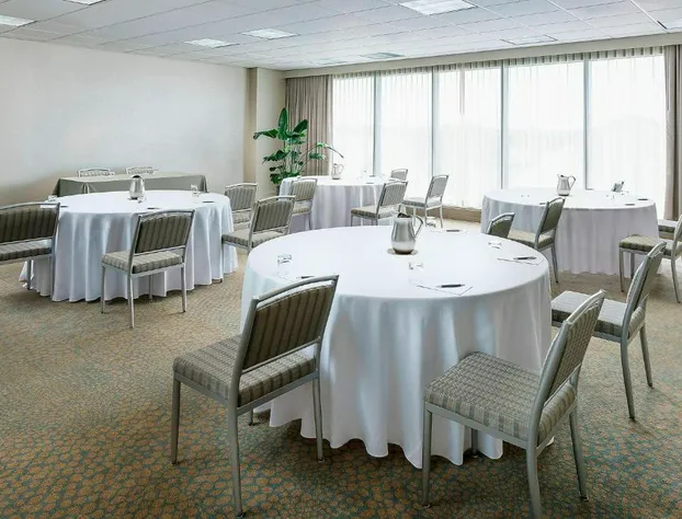 The Westin Chicago Northwest hotel detail image 2