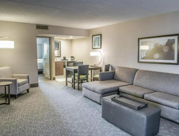 Embassy Suites by Hilton Chicago Schaumburg Woodfield hotel detail image 3