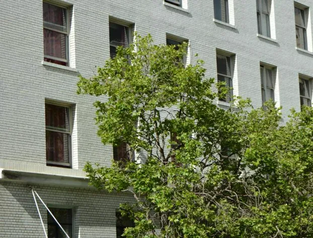 SF Plaza Hotel hotel detail image 2