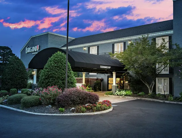 The Burgundy Hotel, Tapestry Collection by Hilton hotel detail image 2