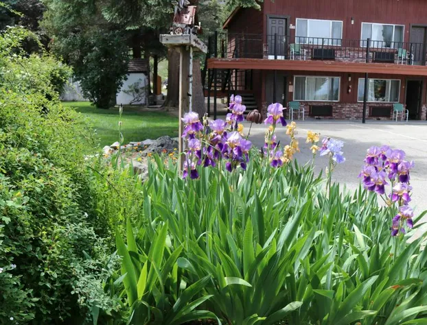 Lake View Lodge hotel detail image 3