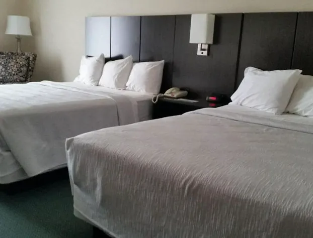 Gold Vault Inn hotel detail image 4