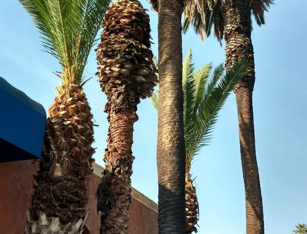 Days Inn by Wyndham Los Angeles Stadium Area/LAX hotel detail image 2