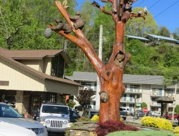 Mountain House Inn Gatlinburg hotel detail image 1
