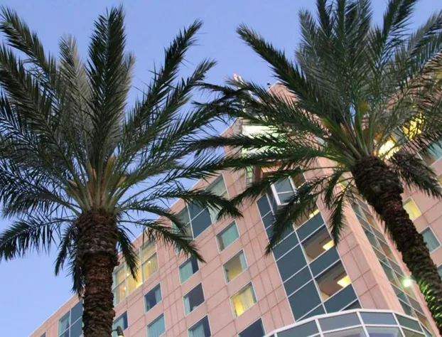 Moody Gardens Hotel, Spa and Convention Center hotel detail image 2