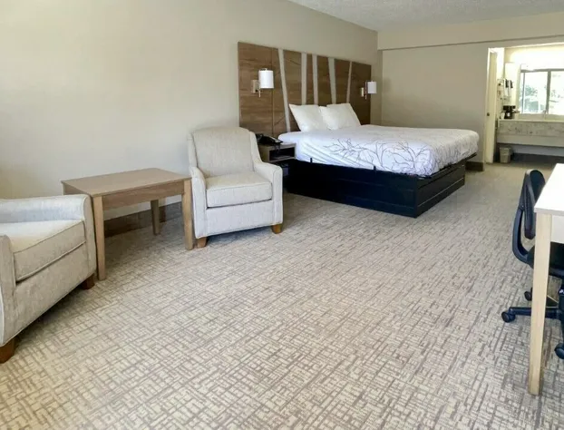 Bella Oasis Hotel hotel detail image 4