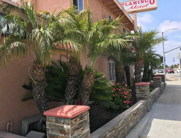Flamingo Motel Oxnard hotel detail image 3