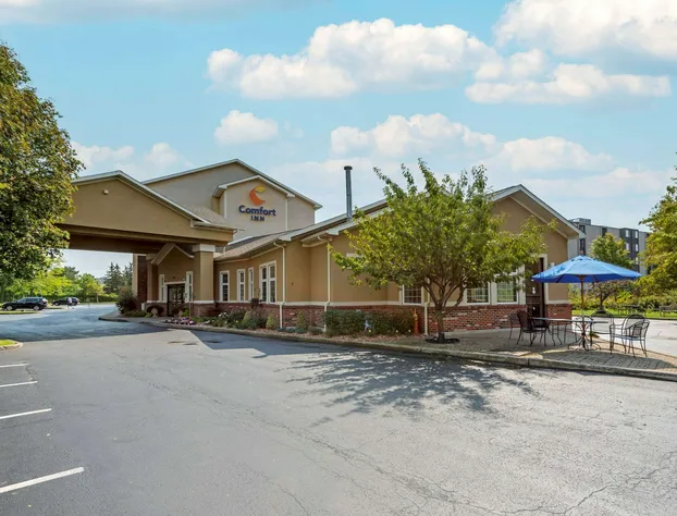 Comfort Inn University hotel detail image 1